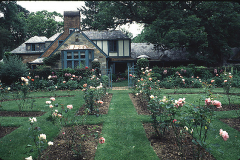 Underoak-from-rose-garden
