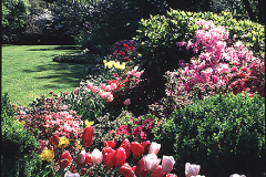 underoak-front-lawn
